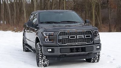 2016 Ford F-150 xlt 2016 Ford F150 Crew Cab XLT LOADED 3.5 EcoBoost