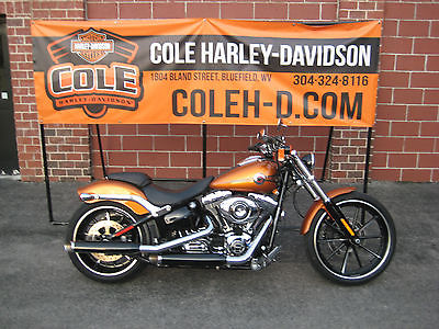 2014 Harley-Davidson Softail  2014 Harley-Davidson Softail Breakout FXSB