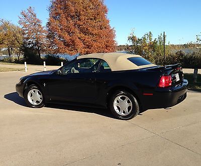 2000 Ford Mustang  2000 Mustang Convertible - Low mileage collector's dream