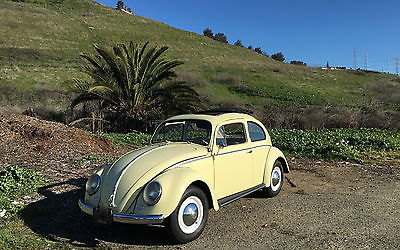 1959 Volkswagen Beetle - Classic Stock 1959 Volkswagen Beetle, Sunroof and Semaphores - Classic Calendar Car