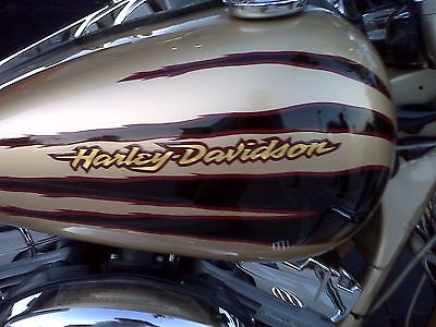 2003 Harley-Davidson Touring  2003 100th Anniversary Screamin' Eagle Road King CVO