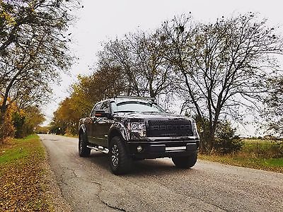 2014 Ford F-150  2014 Ford F150 3.5L EcoBoost 4x4 Totally custom and one of Kind!