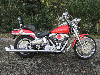 1994 Harley-Davidson Softail  1994 Harley Davidson FXSTS Springer Softail EVO Delivery Poss to FL/GA/SC/NC