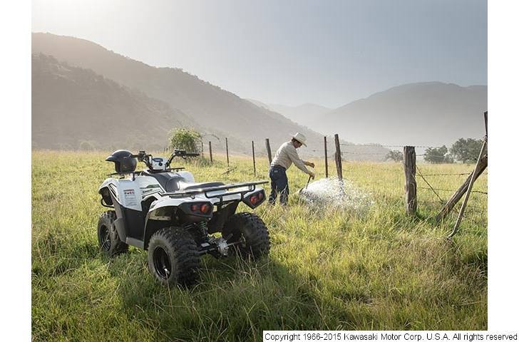 2015 Kawasaki Brute Force 300