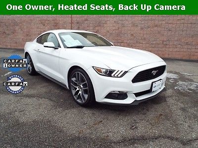 2015 Ford Mustang EcoBoost Premium 2015 Ford Mustang EcoBoost Premium