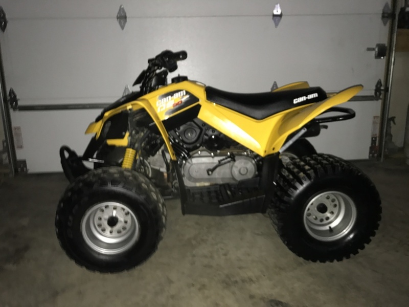 2014 Can-Am DS 90