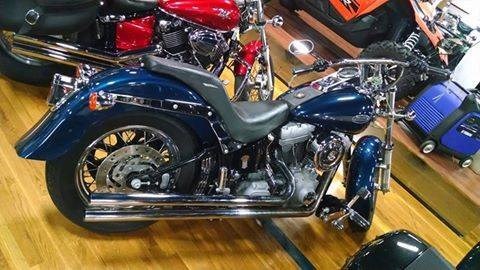 2002 Harley-Davidson FXST/FXSTI Softail Standard