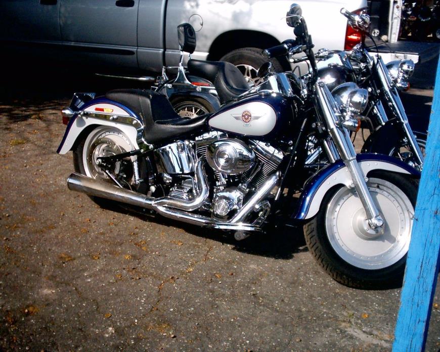 2006 Harley-Davidson FAT BOY FLSTFI