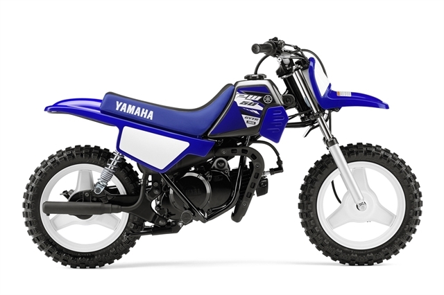 2017 Yamaha TT-R230