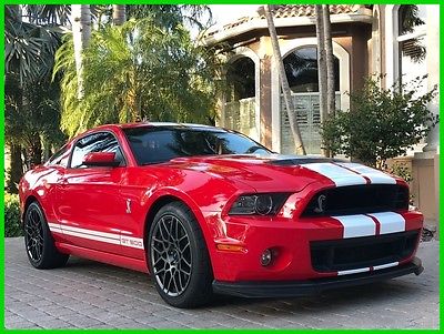 2014 Ford Mustang Shelby GT500 Coupe 2-Door 2014 Shelby GT500 21K MILES! NAVIGATION! NEW TIRES! CLEAN CARFAX! ONE OWNER!