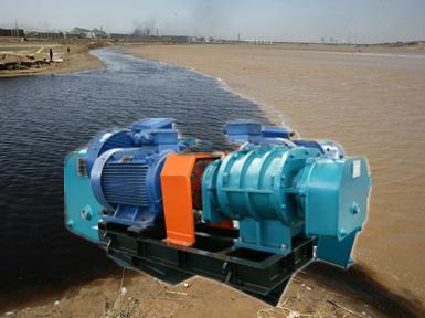 Sewage treatment roots gas blower for wastewater plant