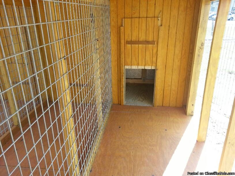 12x28 DOG KENNEL TREATED BUILDING AMISH BUILT $371.00 RENT TO OWN, 2