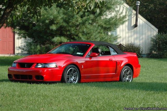 2003 Ford Mustang Cobra 10th Anniversary Convertible For Sale in Cicero, New...
