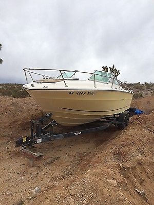 Sea Ray boat and trailer