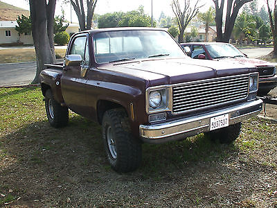 Chevrolet : C-10 1977 chevrolet c 10 4 x 4