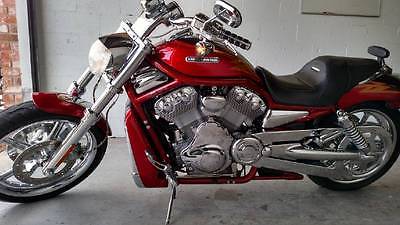 Harley-Davidson : VRSC 2005 harley davidson vrscse screaming eagle cruiser