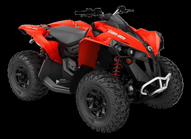 2016 Can-Am DS 250