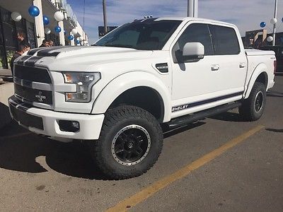 Ford : F-150 F150 2016 ford f 150 shelby