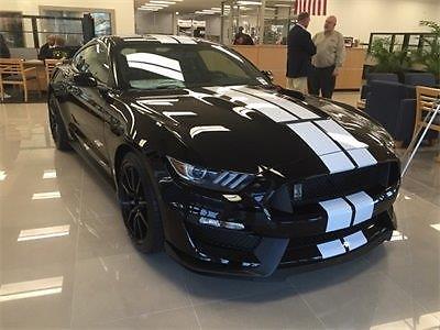 Ford : Mustang Shelby GT350 Coupe 2-Door 2016 ford mustang shelby gt 350