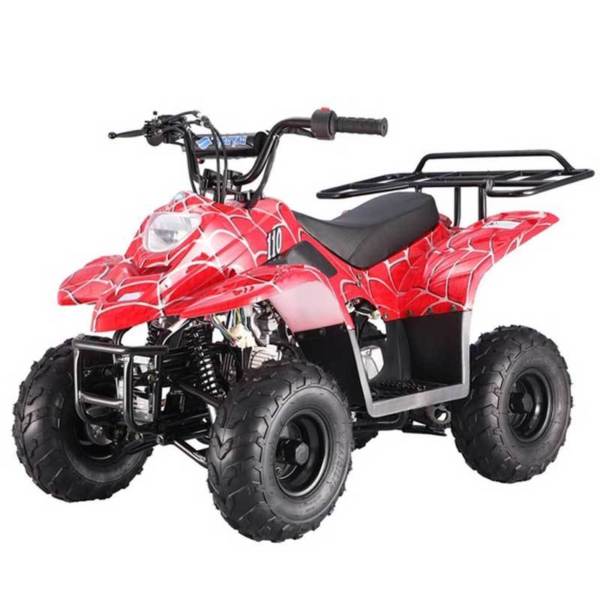 TaoTao Kids ATV