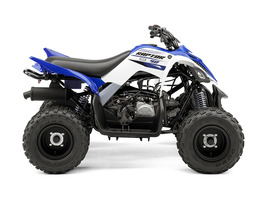 2013 Yamaha Grizzly 300 Automatic