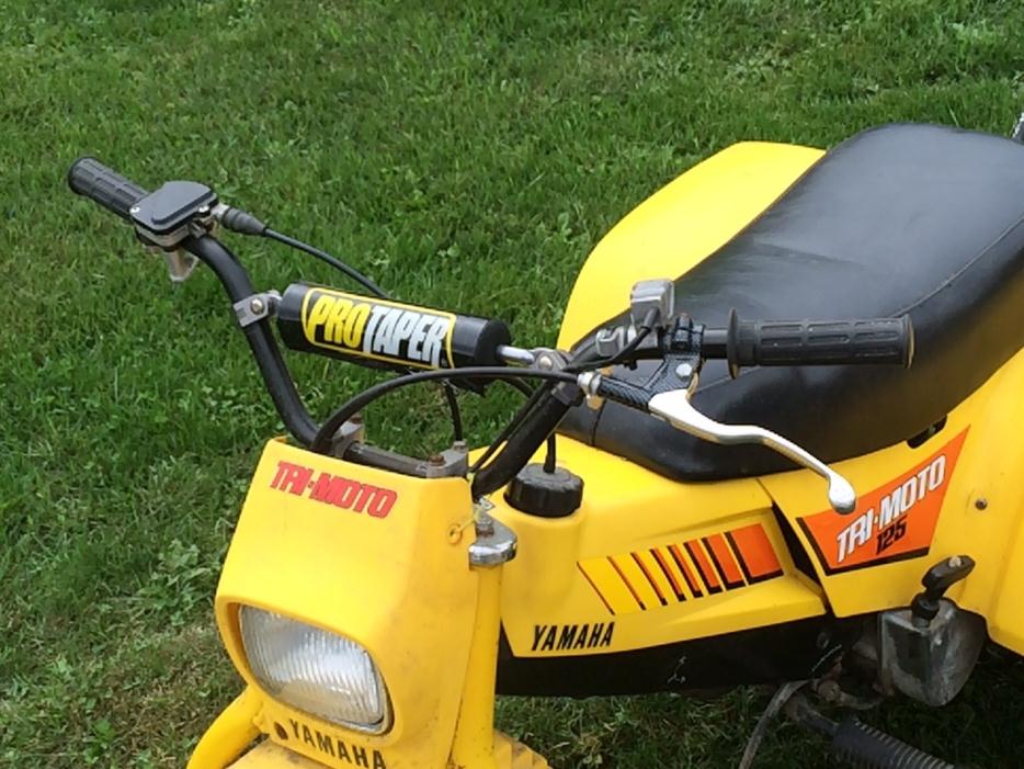 2006 Yamaha BRUIN 250