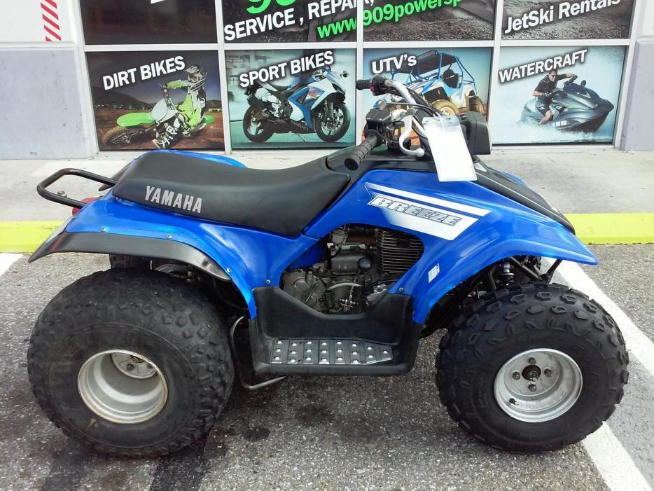 2007 Yamaha Bruin