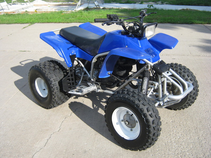 2006 Yamaha BRUIN 350