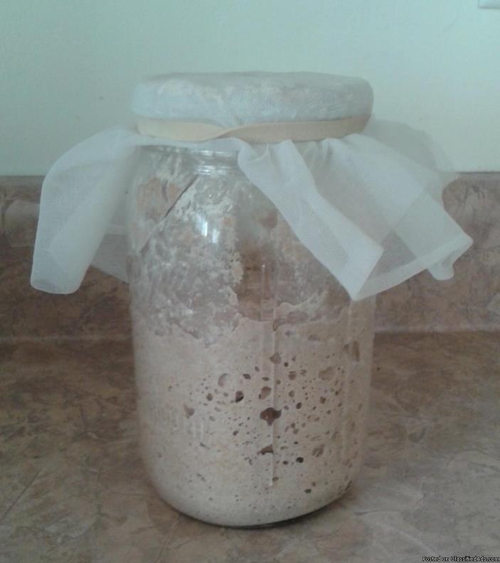 Natural Yeast Start (as in raising bread)