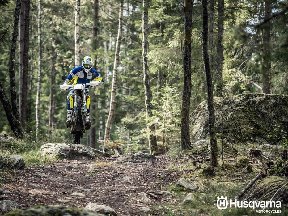 2017  Husqvarna  701 Enduro