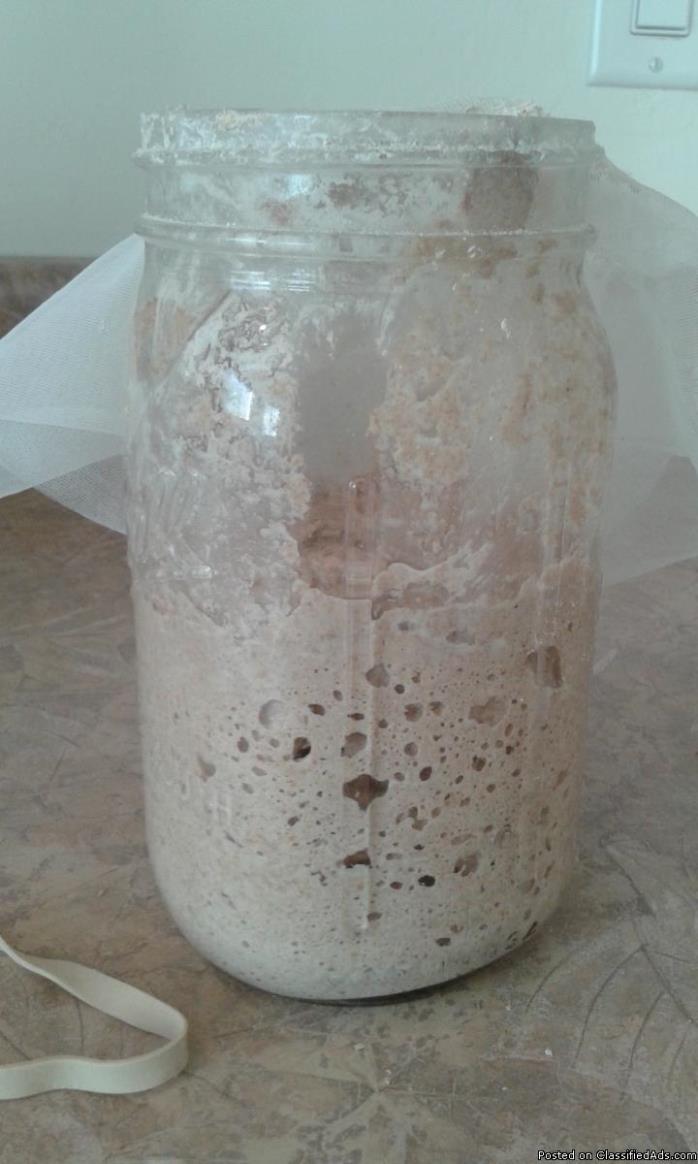 Natural Yeast Start (as in raising bread), 4