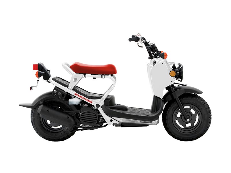 2016  Honda  Ruckus