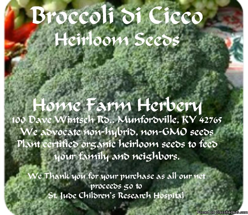 Broccoli, Di Cicco Seeds, Order now, FREE shipping, 0