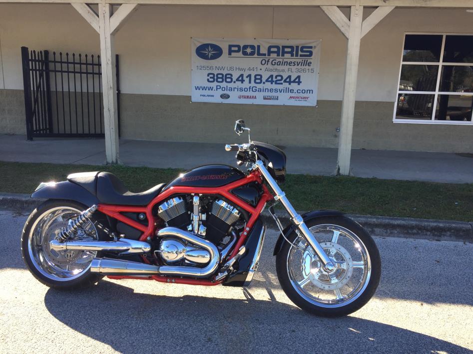 2001 Harley-Davidson FXD