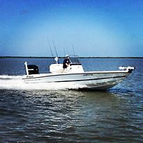 2009 TRITON 2440 LTS PRO