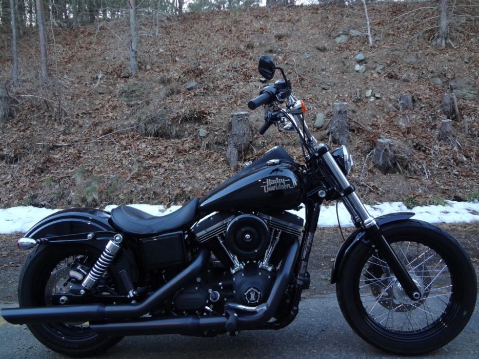 2015 Harley Davidson FLS