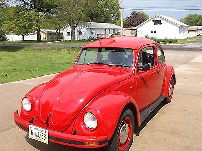 1999 Volkswagen Beetle - Classic  99 mexi beetle