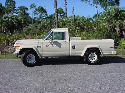 1984 Jeep Other  1984 JEEP J 10