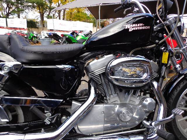 2008  Harley-Davidson  Sportster 883 Custom
