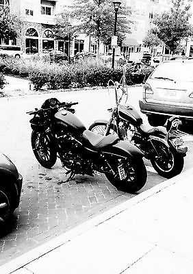 2014 Harley-Davidson Sportster  2014 Harley 883 Iron