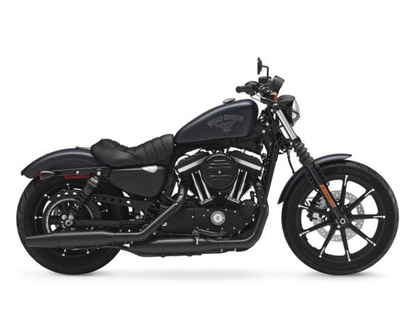 2017  Harley-Davidson  Iron 883™