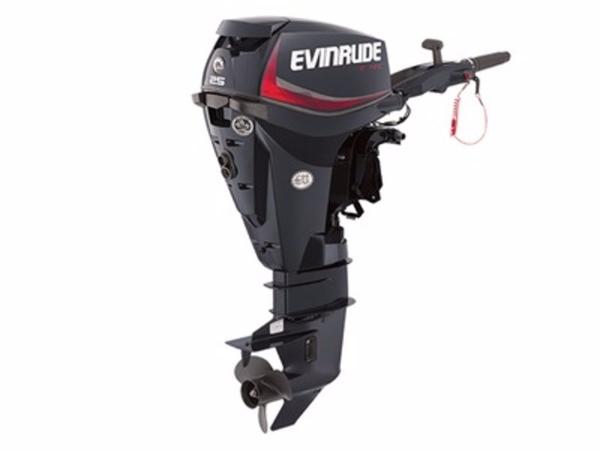 2015 Evinrude E25DGTEAB