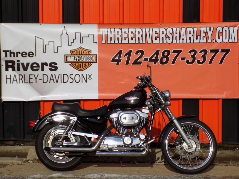2002 Harley-Davidson XL1200C