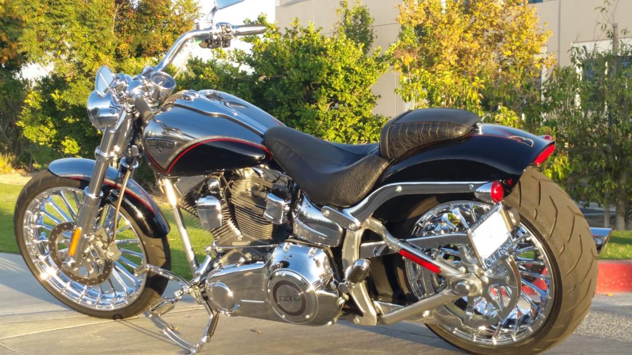 2013  Harley-Davidson  CVO™ Breakout