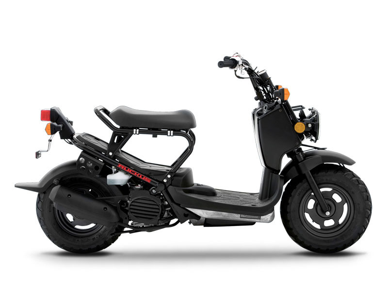 2015 Honda Ruckus