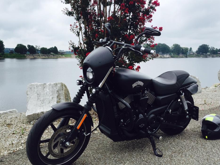 2015 Harley-Davidson XR750