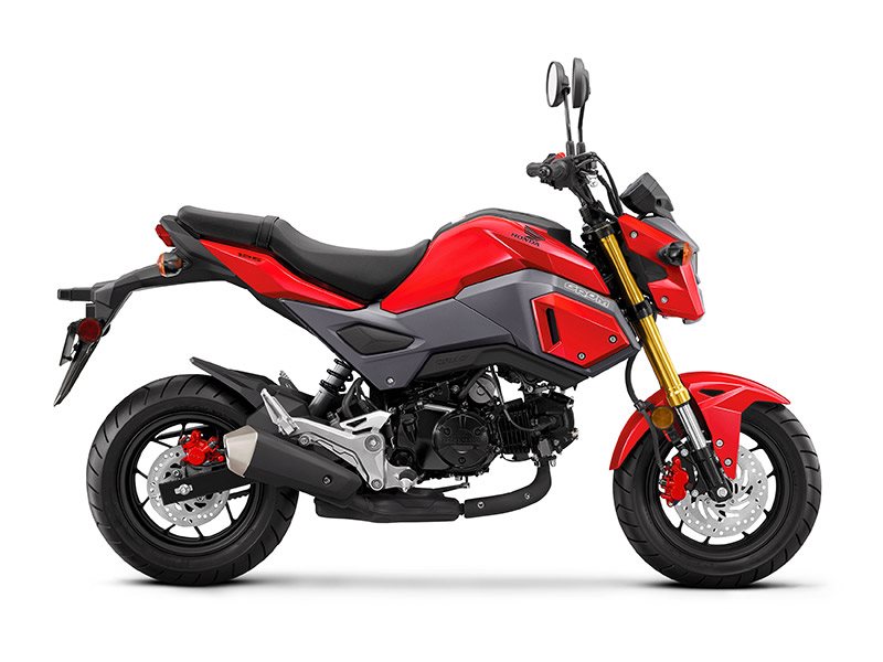 2017  Honda  Grom