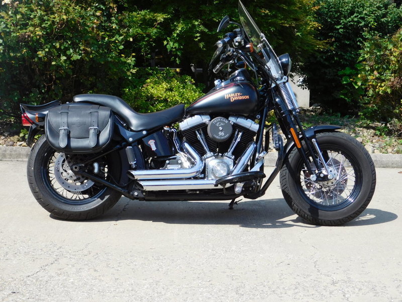 2008 Harley-Davidson FLSTSB - Cross Bones