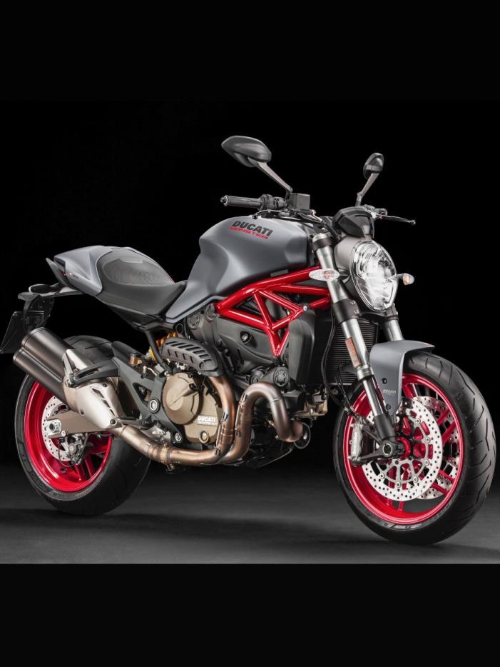 2017 Ducati MONSTER 821 GREY