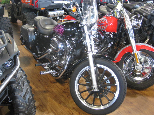 2008 Harley-Davidson xl1200 sportster